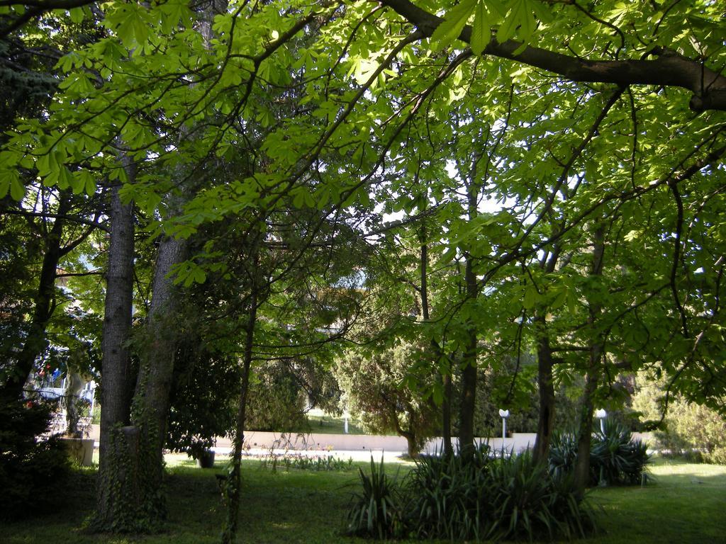 Park Hotel Persey Warna Zewnętrze zdjęcie