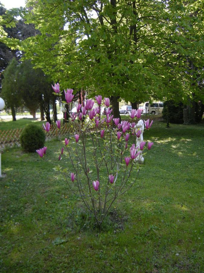 Park Hotel Persey Warna Zewnętrze zdjęcie